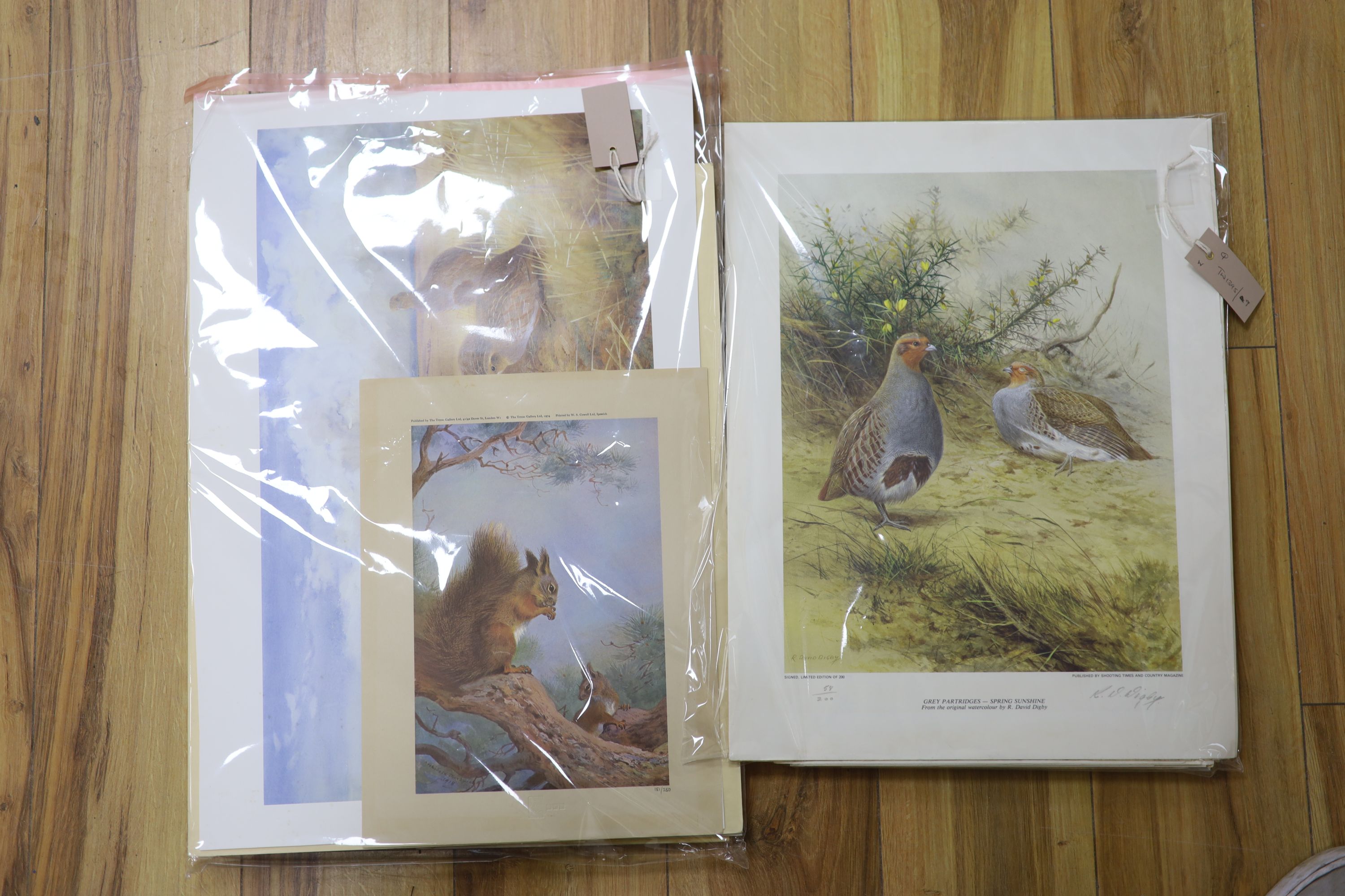 A collection of framed and unframed wildlife prints after Archibald Thorburn, David Digby and others